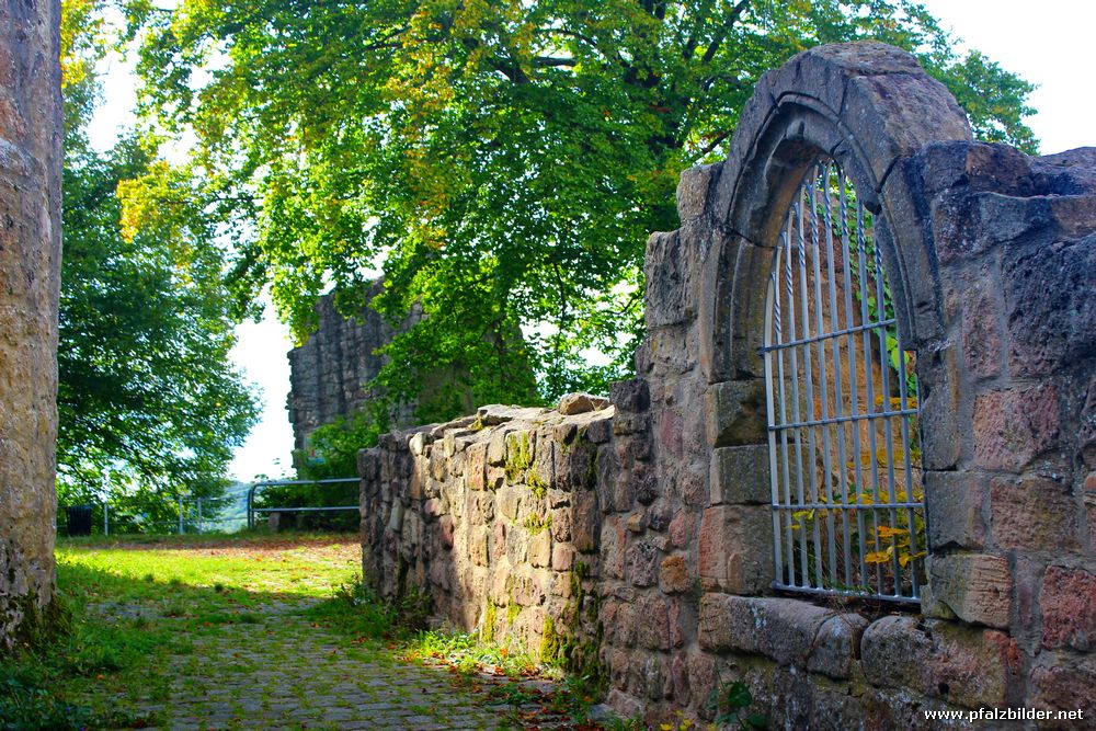 Burg Falkenstein~011