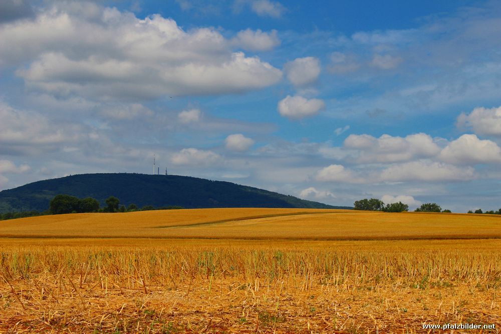 Donnersberg~002