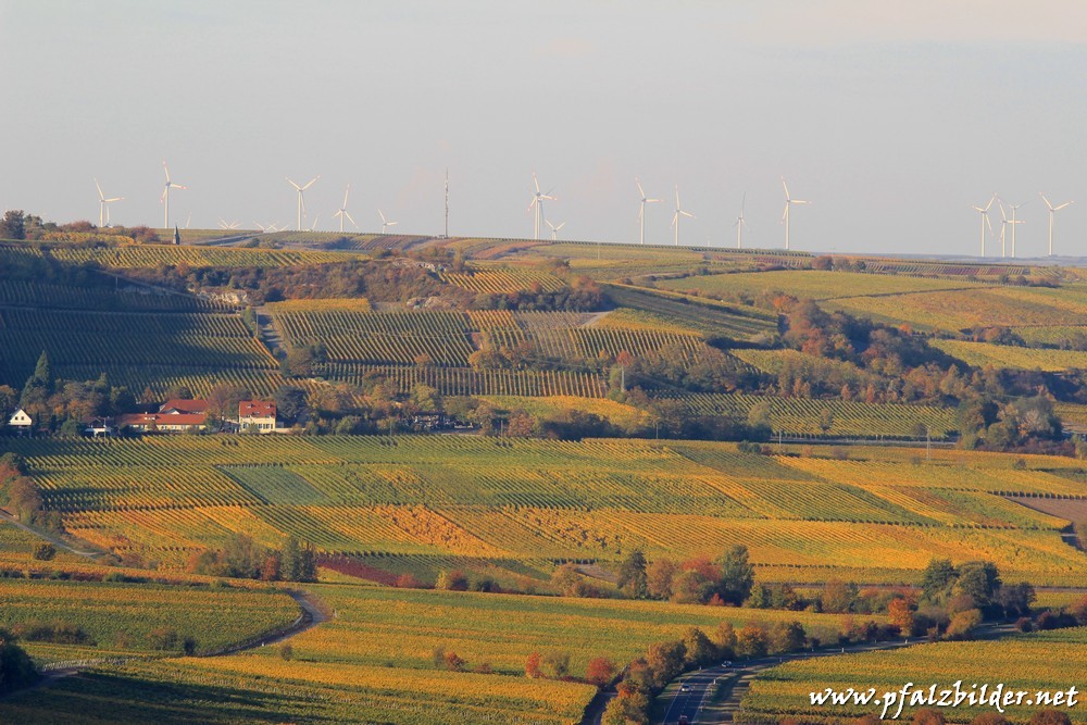 Flaggenturm Herbst~013