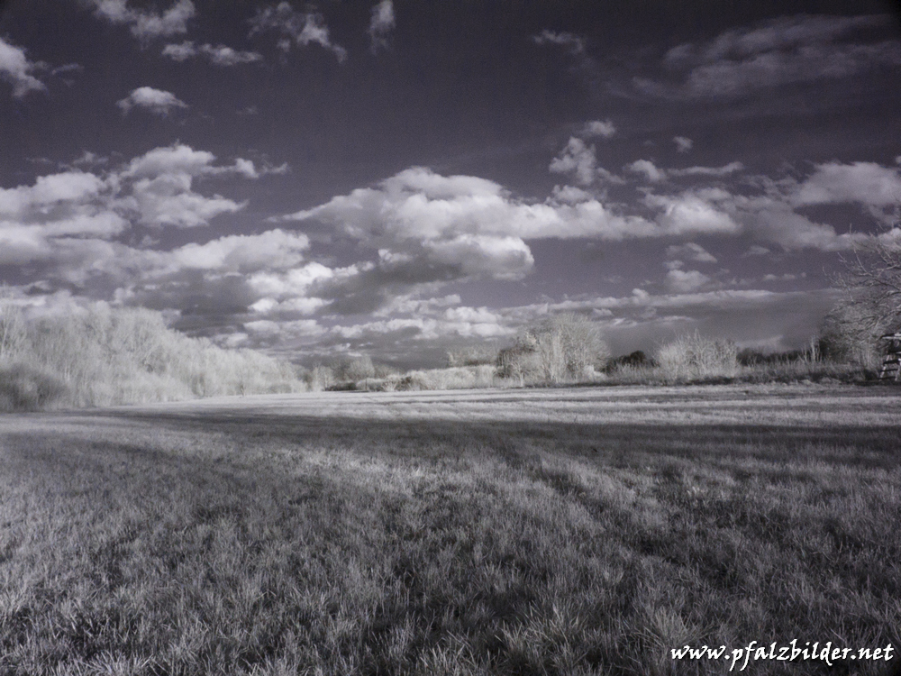 Roedersheim-Feld-IR~004