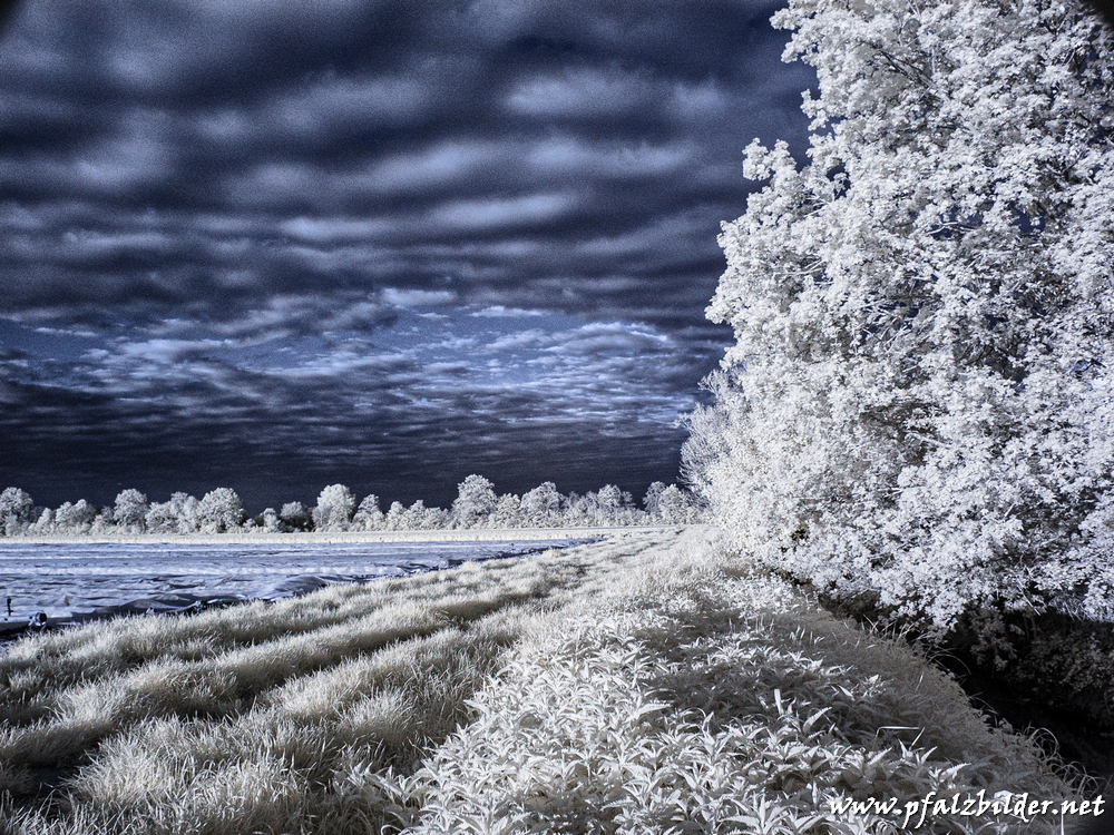 Roedersheim-Feld~IR~003