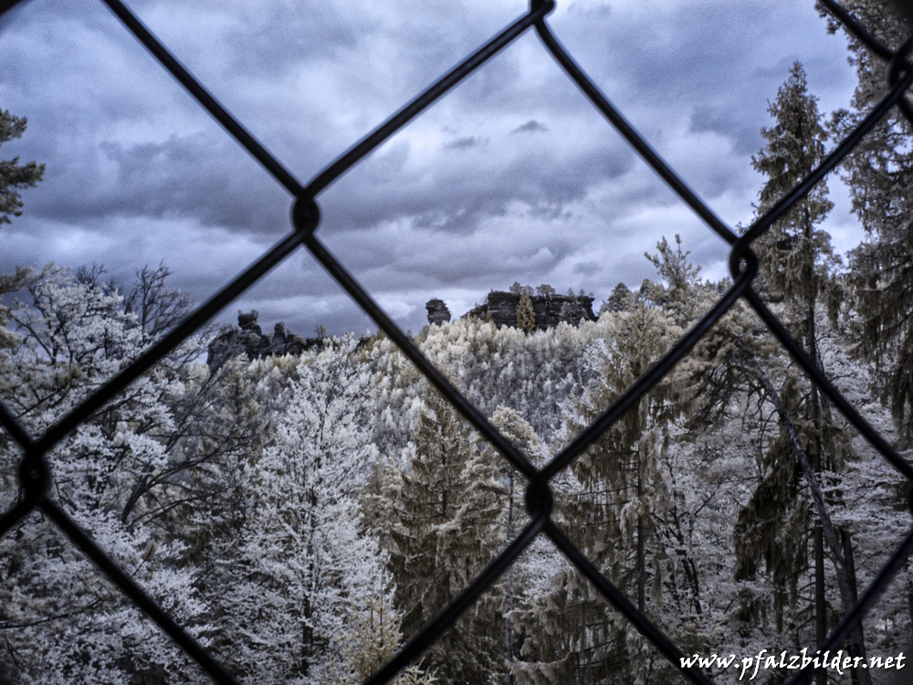 Laemmerfelsen~IR~003