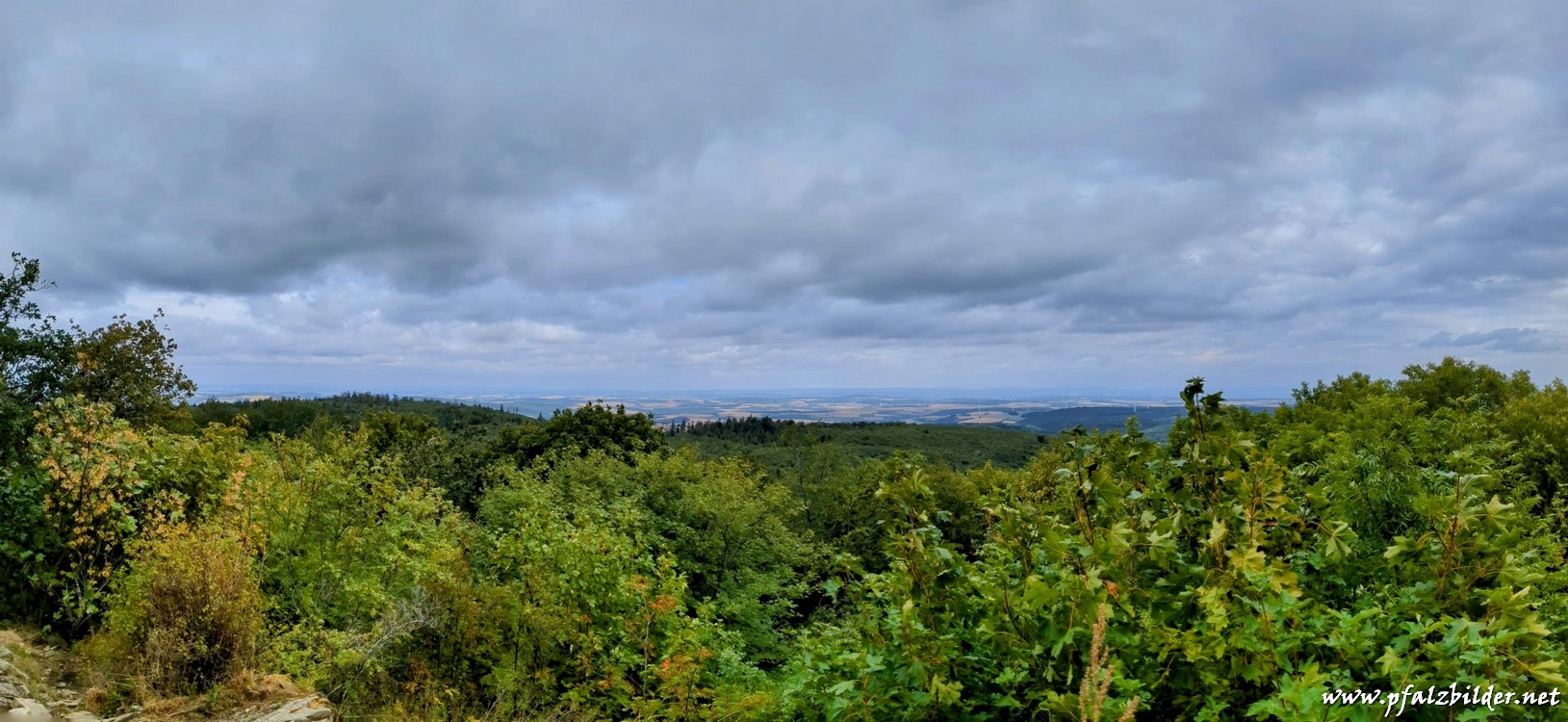 Donnersberg-Koenigsstuhl~001