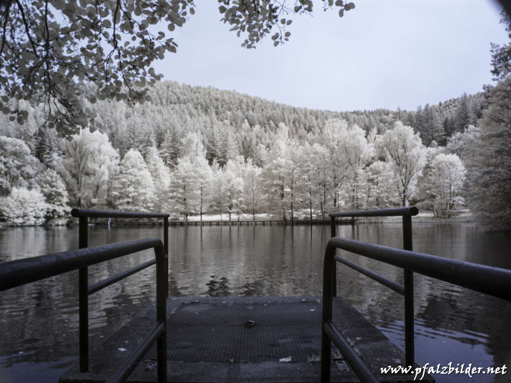 Helmbachweiher~001