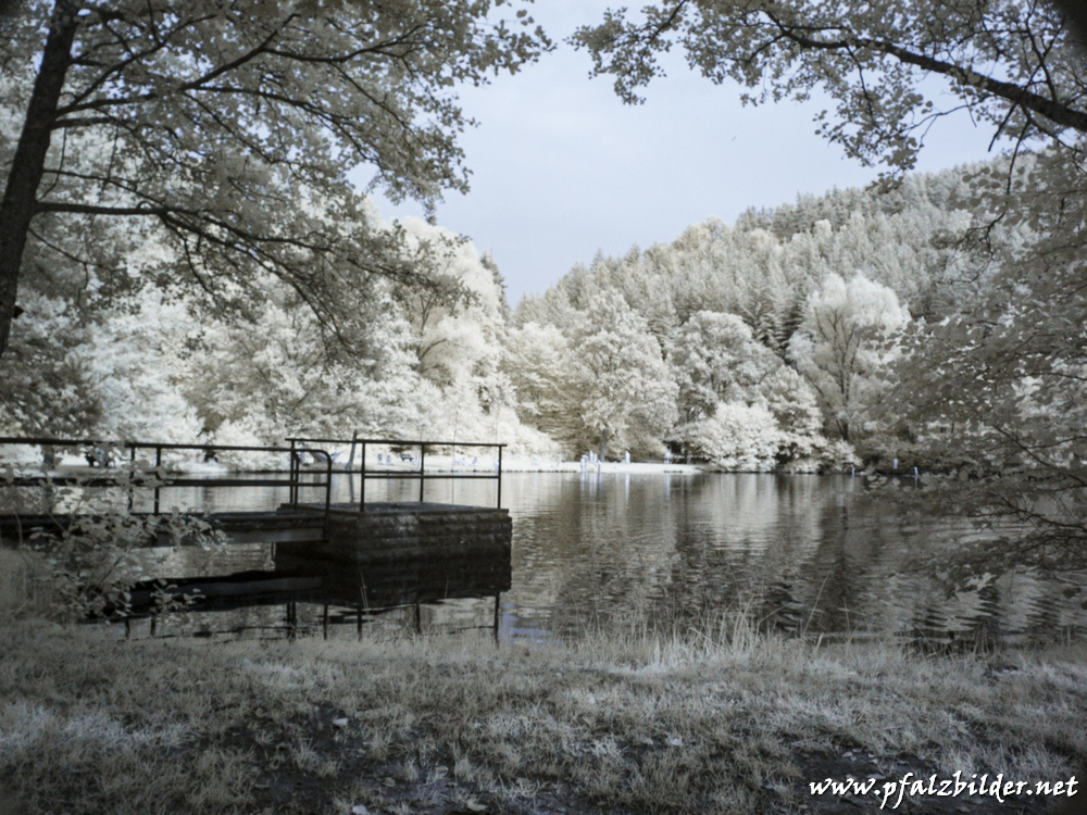 Helmbachweiher~002