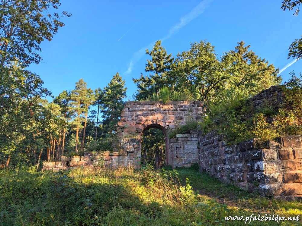 Ruine-Schlosseck~001