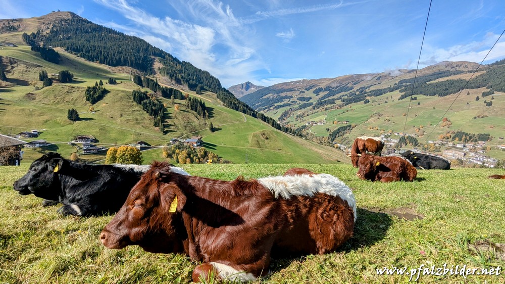 Schattberg-mit-Ausblick~003