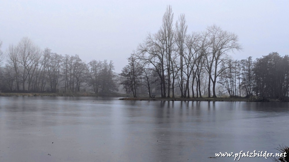 Niederwiesenweiher~002