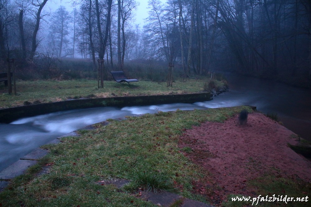 Wieslauter-Niederschlettenbach~005