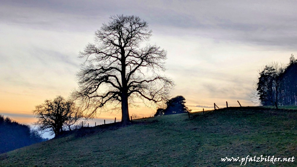 Baerenbrunnerhof-Klosterfels~003