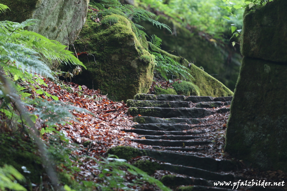 Karlstal-Trippstadt~004