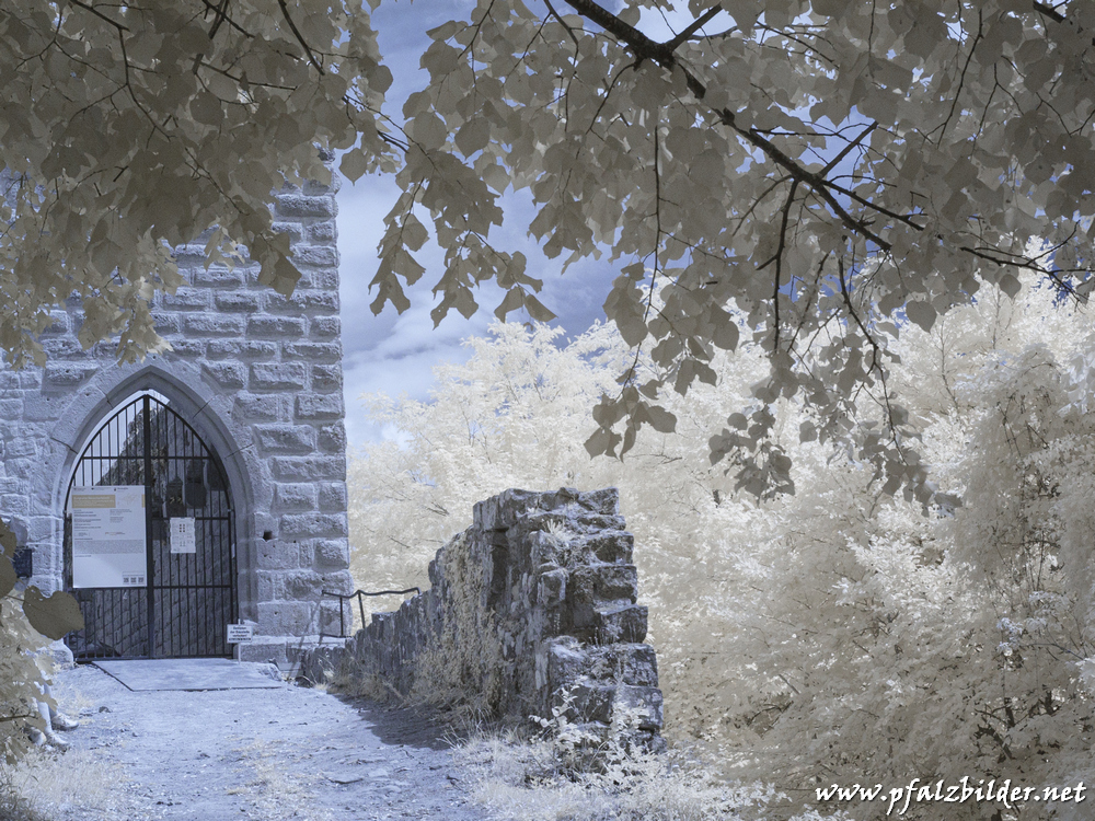 Neuscharfeneck~006