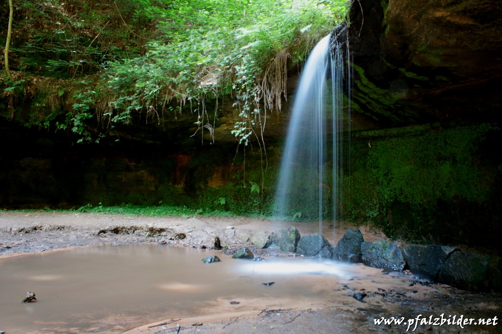 Wasserschaupfad-Herschberg~003