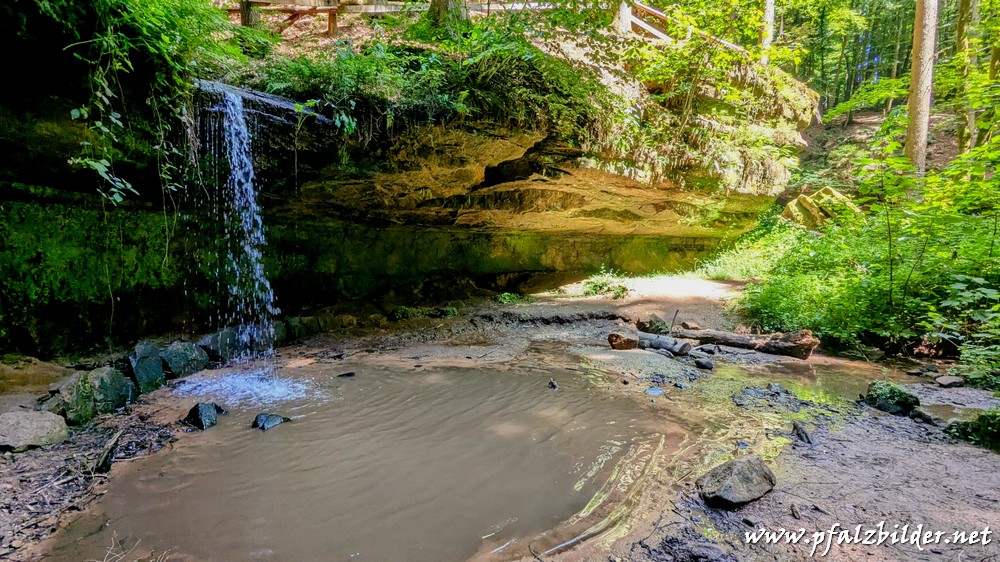 Wasserschaupfad-Herschberg~004