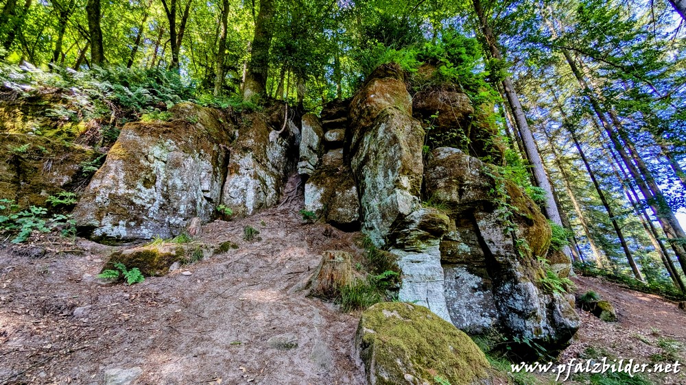 Wasserschaupfad-Herschberg~005