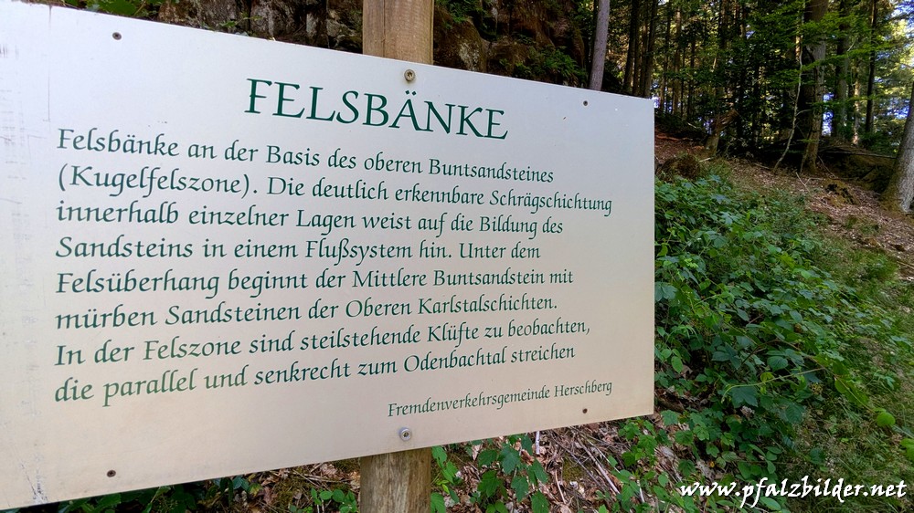 Wasserschaupfad-Herschberg~006