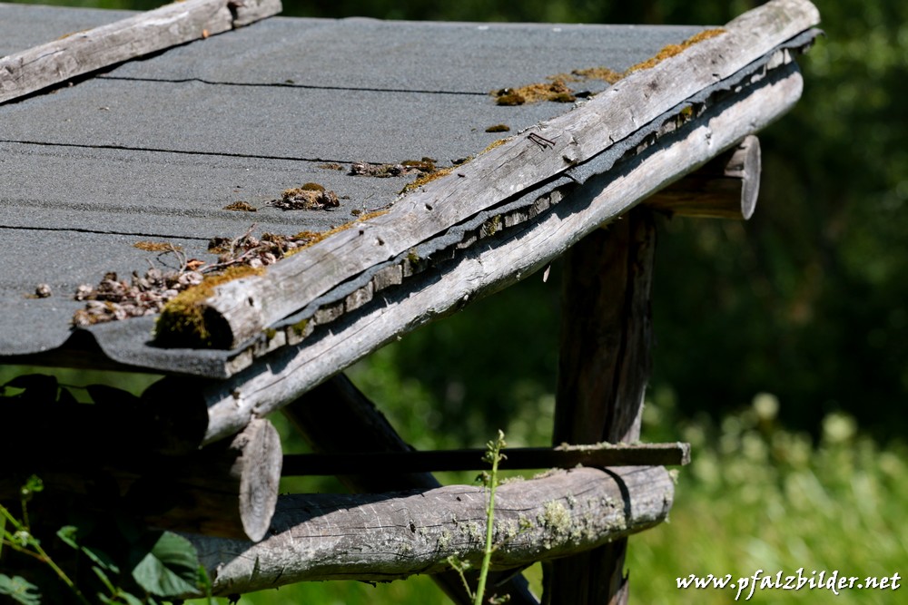 Wasserschaupfad-Herschberg~008
