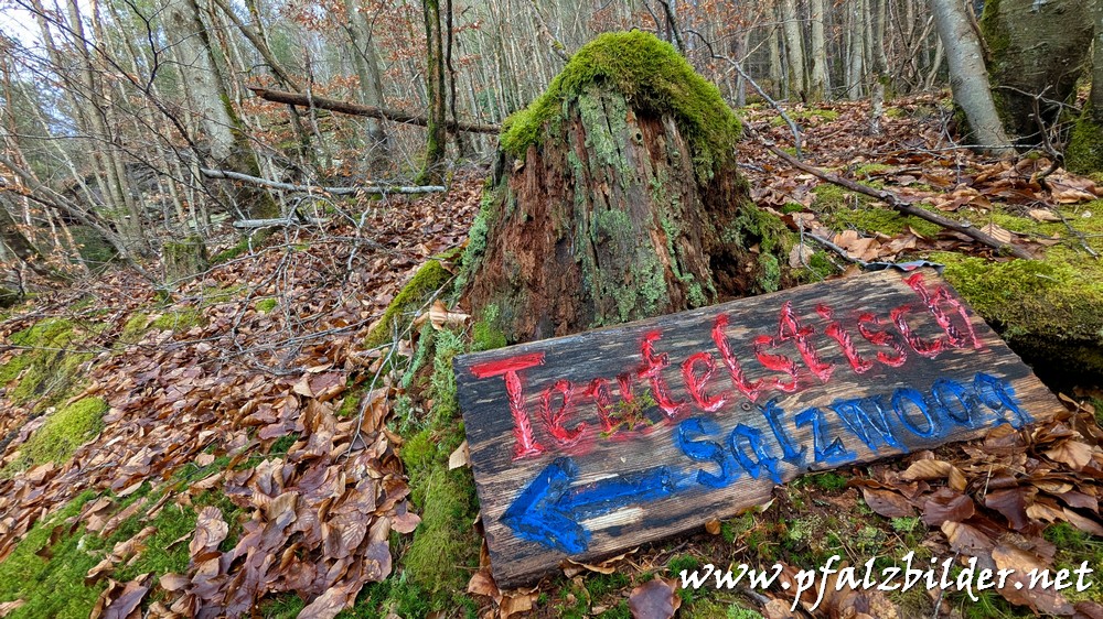 Teufelstisch-Salzwoog~002