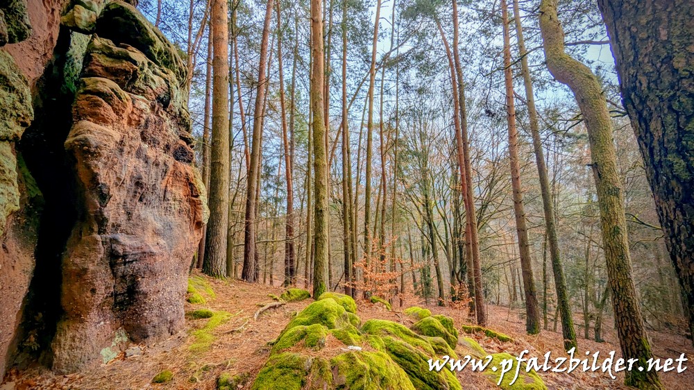 Pferchfeldfelsen~003