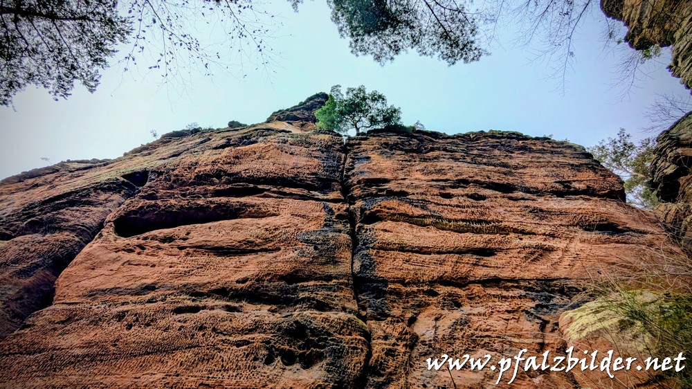 Pferchfeldfelsen~006