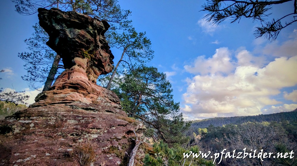 Florensberger-Tuermchen~001