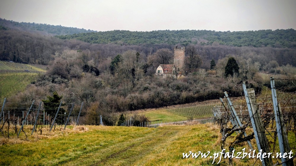 Pauliner-Schloesschen~001