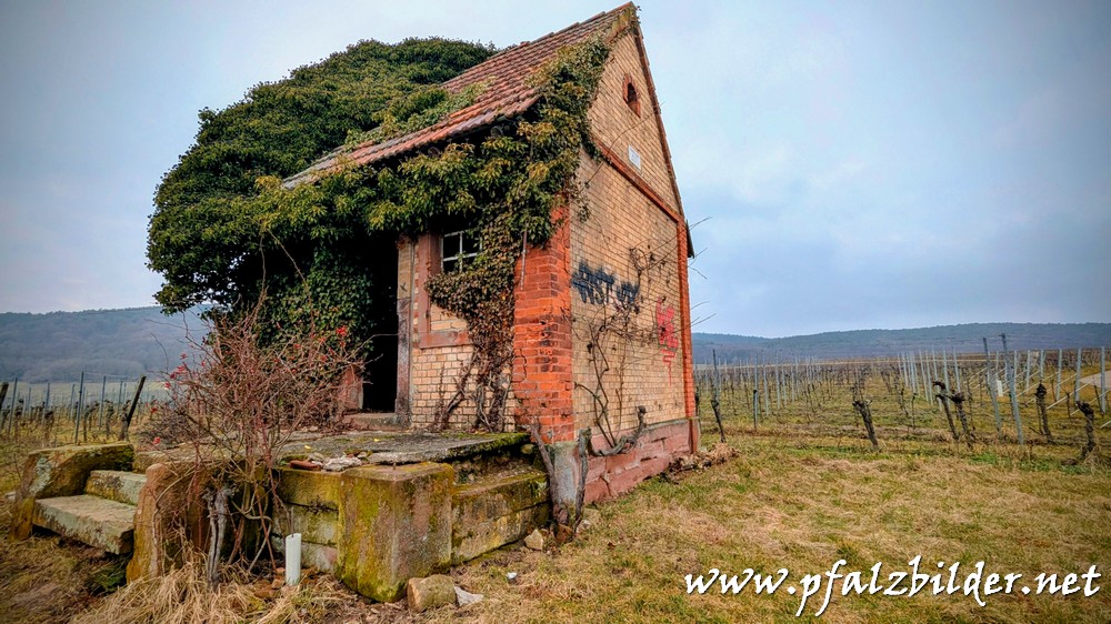 Pauliner-Schloesschen~002