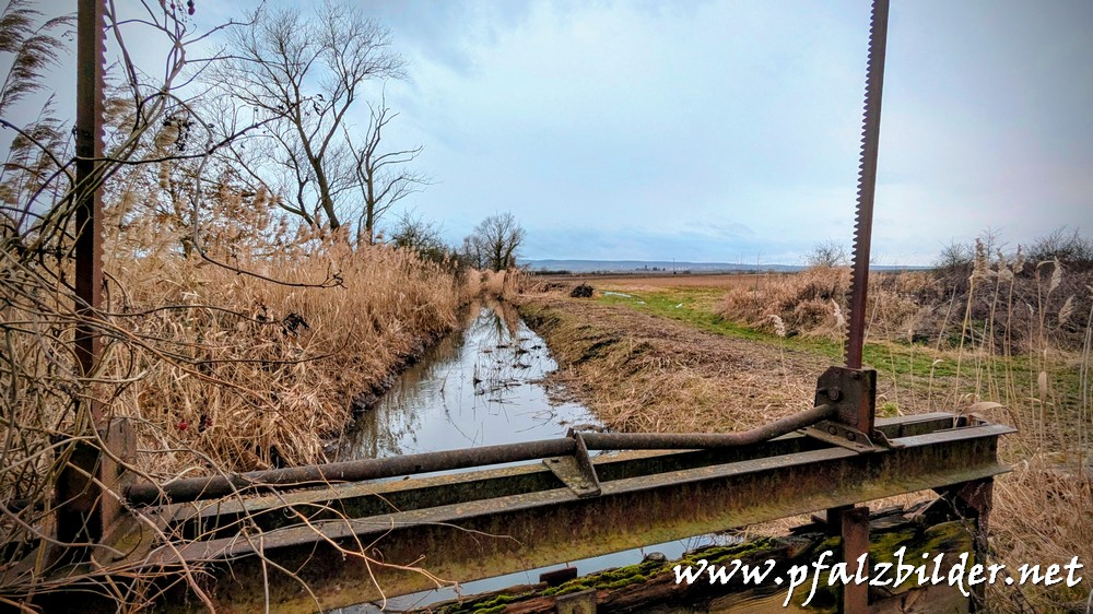 Isenach-Schwemmfaecher~002