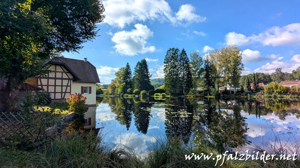Saegmuehlweiher~001
