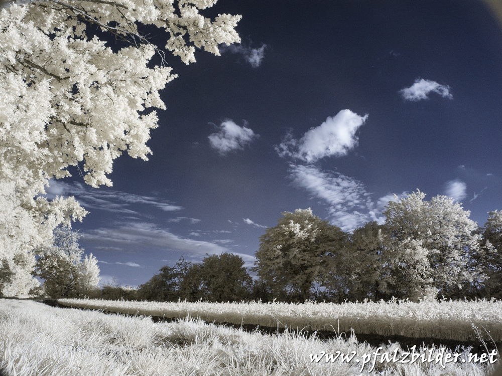 Roedersheim-Feld~IR~001