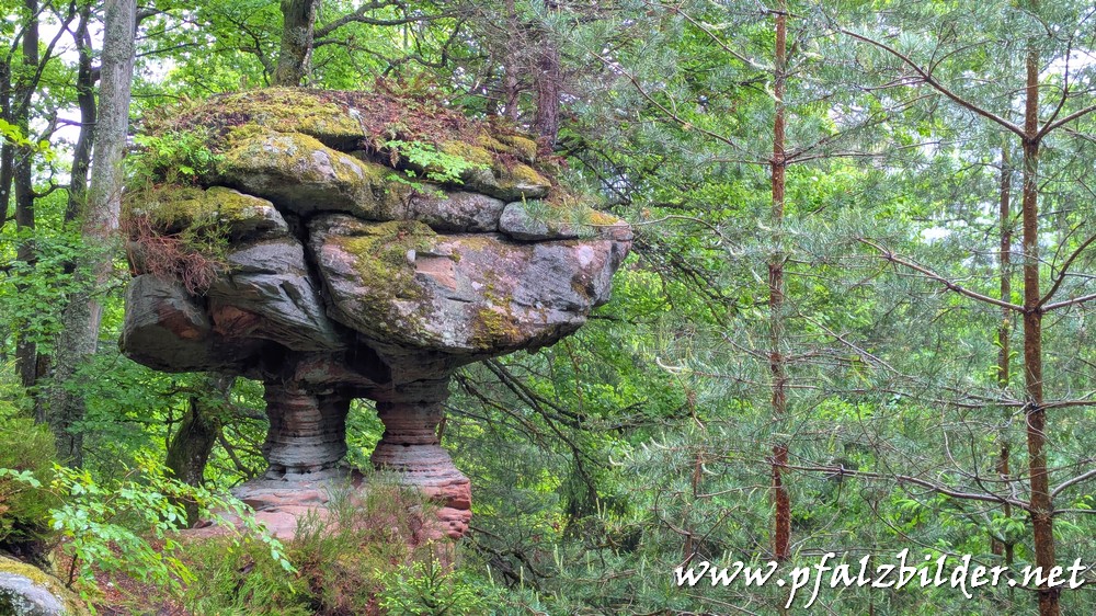 Ludwig-Knerr-Felsen~001