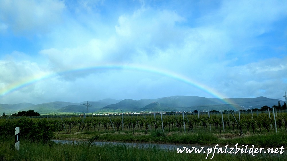 Regenbogen-Neustadt~001