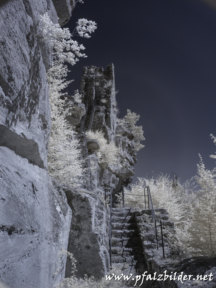 Luetzelhardt~003