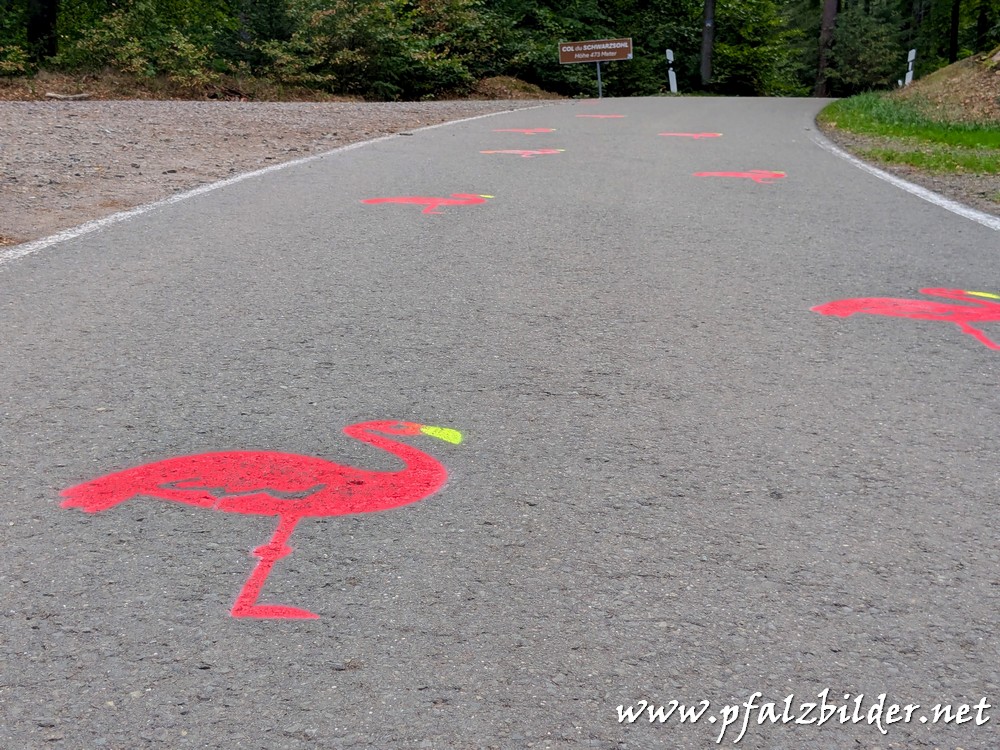 Flamingo-Road~002