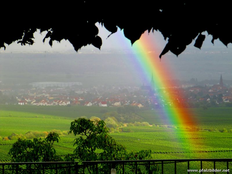 Kropsburg Regenbogen~001