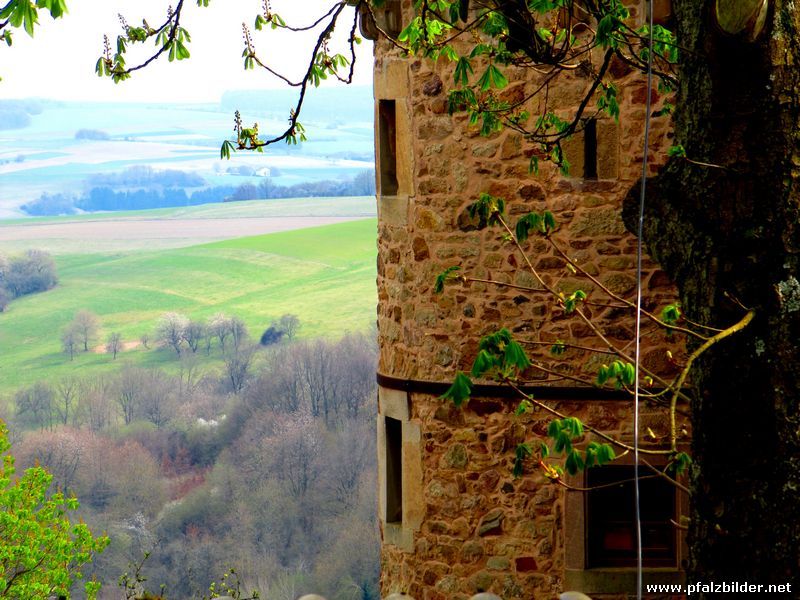 Burg Lichtenberg~014