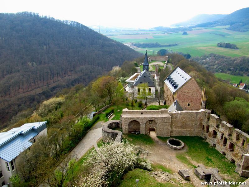 Burg Lichtenberg~016