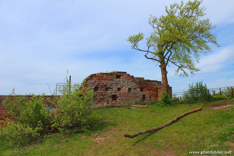 Burg Lindelbrunn~004