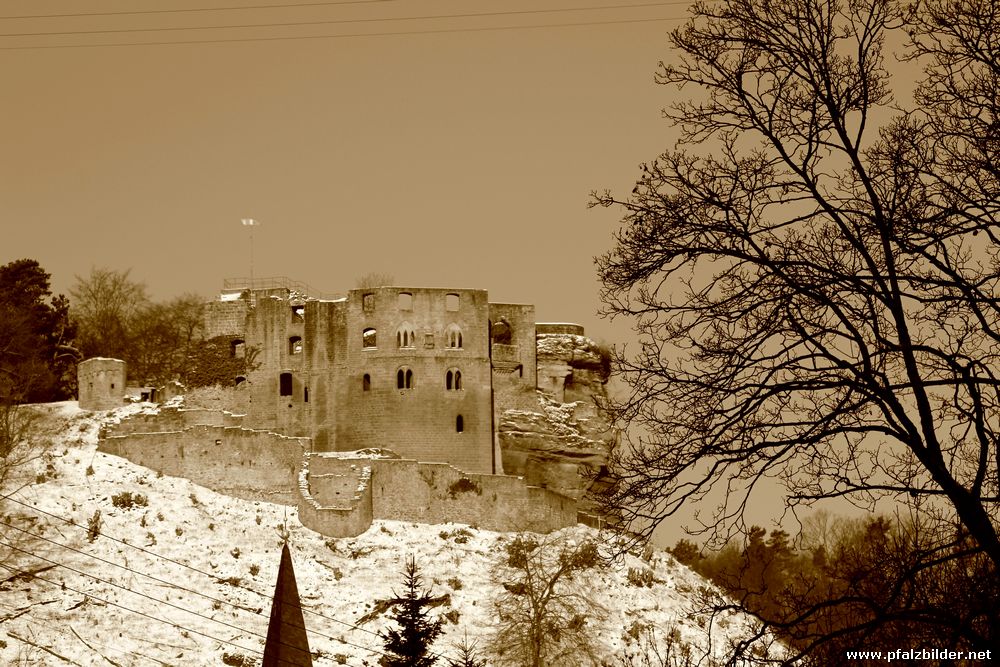 Burg Frankenstein~003